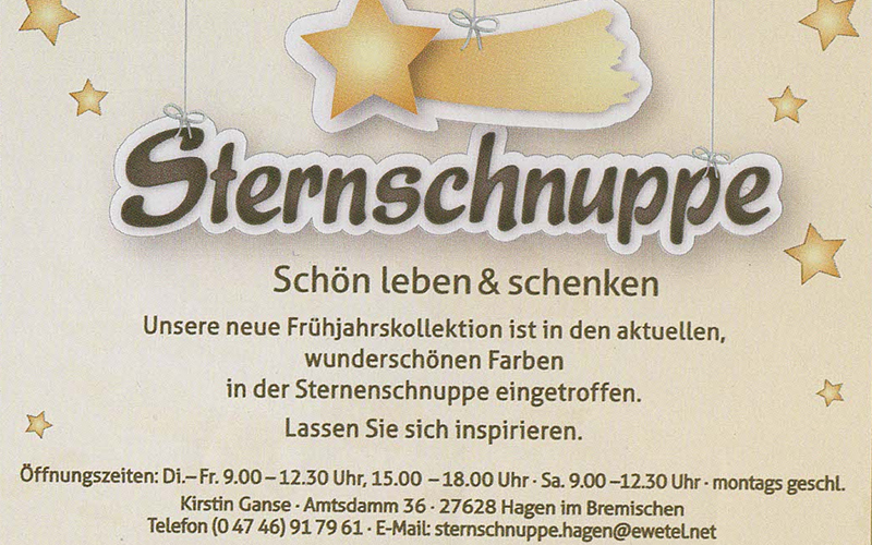 Sternschnuppe – Kirstin Ganse